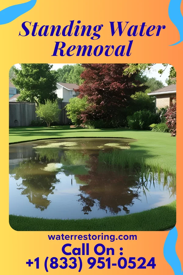 Standing Water Removal in Red Oak, OK